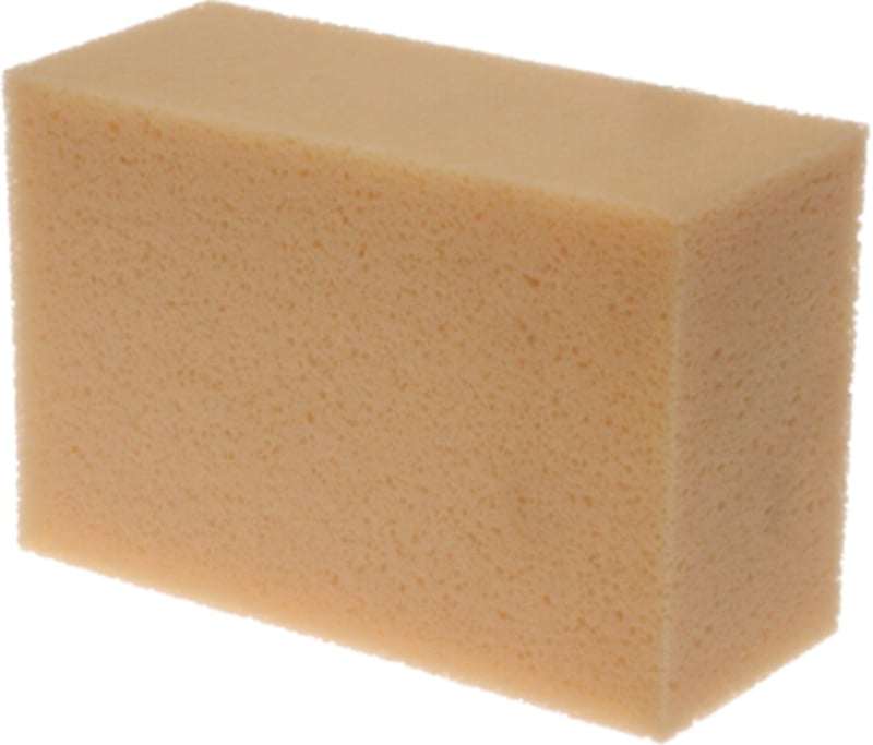 Sponges
